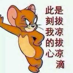 珍惜吃瓜群众图片,珍惜的目光见证时代变迁