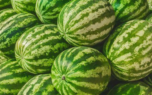 2023吃瓜,娱乐圈风云再起，揭秘幕后真相