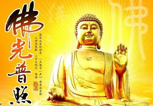 佛祖保佑曾志伟吃瓜