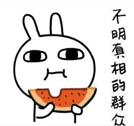 吃瓜小费给多少,揭秘网络社交的甜蜜陷阱