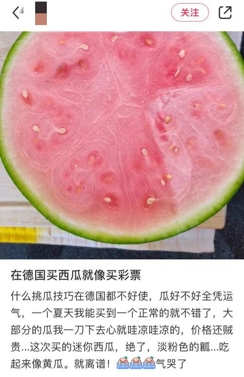 吃瓜为什么吃西瓜,揭秘为何西瓜成为夏日消暑首选