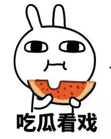 你静静吃瓜图片